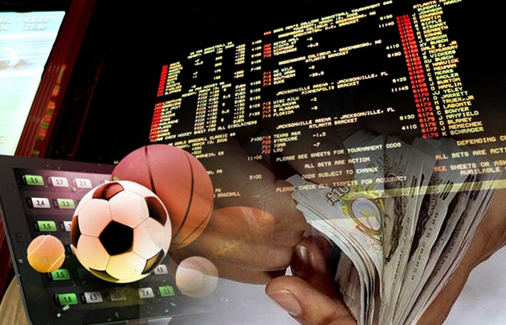 Everything You Need to Know About gamepawa bet 6