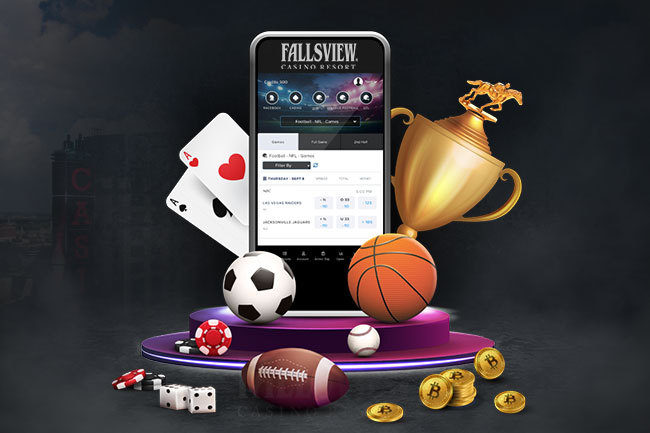 Everything You Need to Know About gamepawa bet 6