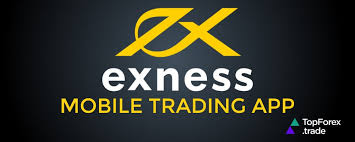 Exploring Exness Educational Resources for Successful Trading